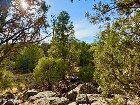 1842 Rocky Bottom Pl #-, Show Low, AZ 85901