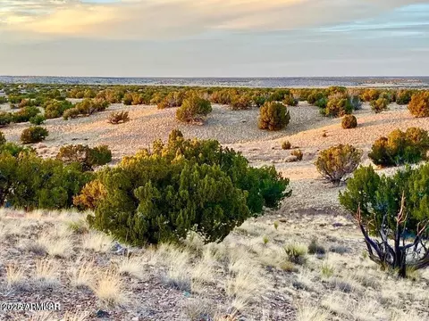 Woodland Valley Ranch Lot 902 36.25 Acr -- #-, Saint Johns, AZ 85936