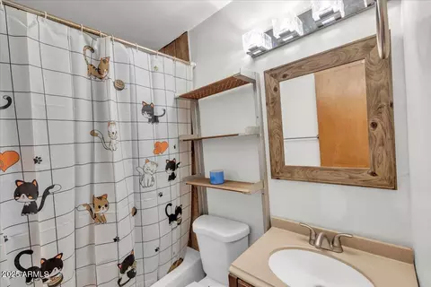 Bath - 1837 E Pleasant Ln, Phoenix, AZ 85042 photo 1 of 2