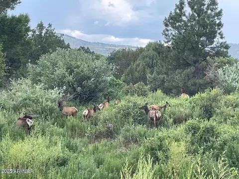 15 N3479 --, Vernon, AZ 85940