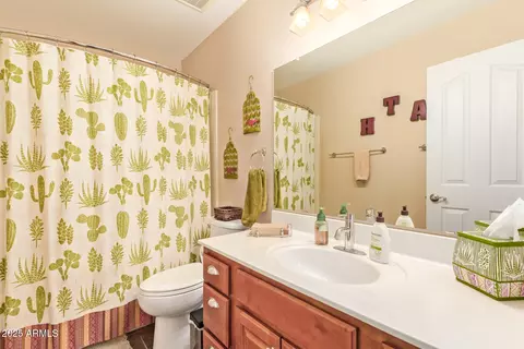 Bath - 2209 E Marquette Dr, Gilbert, AZ 85234 photo 3 of 3