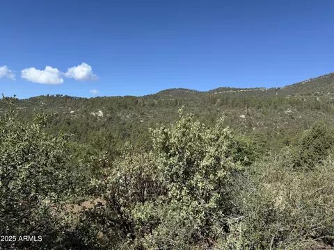 22865 S Gladiator Mine Rd #-, Crown King, AZ 86343