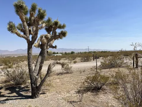 nnnn N Jerry Lane #366, Dolan Springs, AZ 86441