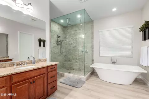 Bath - 7357 E Pampa Ave, Mesa, AZ 85212 photo 3 of 8