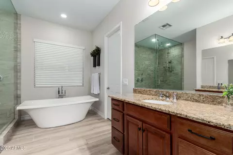 Bath - 7357 E Pampa Ave, Mesa, AZ 85212 photo 4 of 8