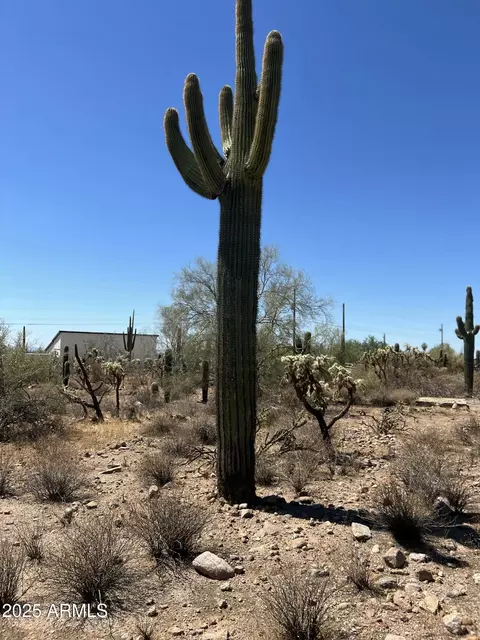 2800 W Canyon St #47, Apache Junction, AZ 85120 photo 24