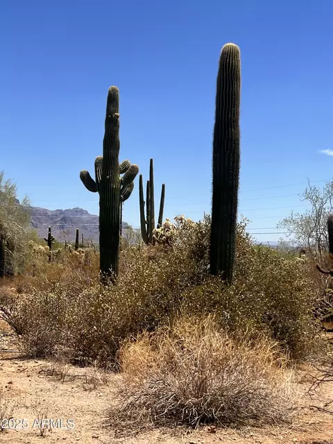 2800 W Canyon St #47, Apache Junction, AZ 85120 photo 21