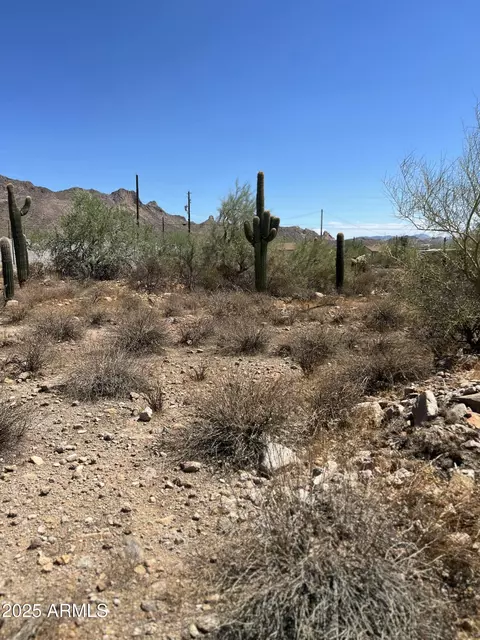 2800 W Canyon St #47, Apache Junction, AZ 85120 photo 25