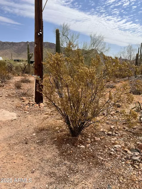 2800 W Canyon St #47, Apache Junction, AZ 85120 photo 19