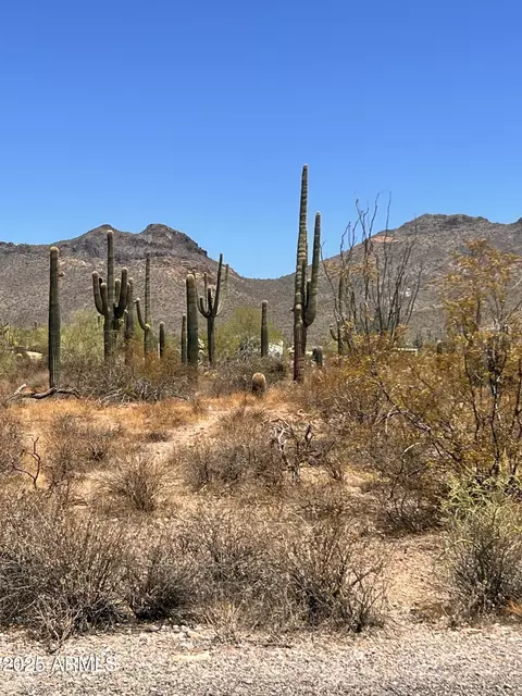 2800 W Canyon St #47, Apache Junction, AZ 85120 photo 20