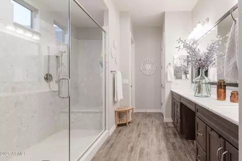 Bath - 3437 E Appaloosa Rd, Gilbert, AZ 85296 photo 2 of 4