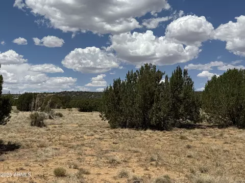 77 Co Rd 8020 -- #393, Concho, AZ 85924