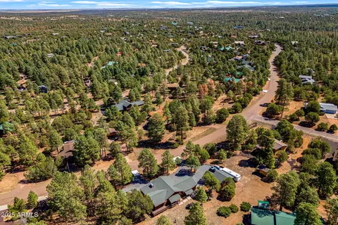 View/Area - 2240 Roundabout Way, Overgaard, AZ 85933 photo 2 of 6