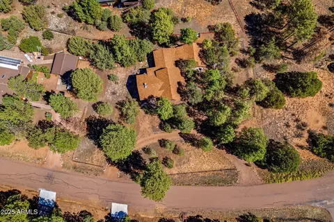 View/Area - 2240 Roundabout Way, Overgaard, AZ 85933 photo 3 of 6