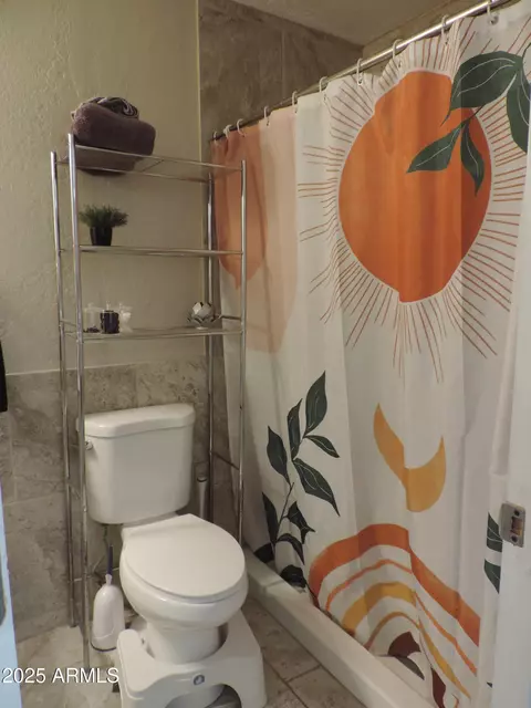 Bath - 764 N Thunderbird Dr, Apache Junction, AZ 85120 photo 4 of 6