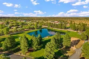 View/Area - 2670 Lodge Loop, Overgaard, AZ 85933 photo 3 of 3