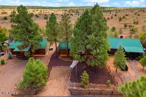 Other - 2670 Lodge Loop, Overgaard, AZ 85933 photo 6 of 9