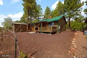 Exterior - 2670 Lodge Loop, Overgaard, AZ 85933 photo 5 of 6