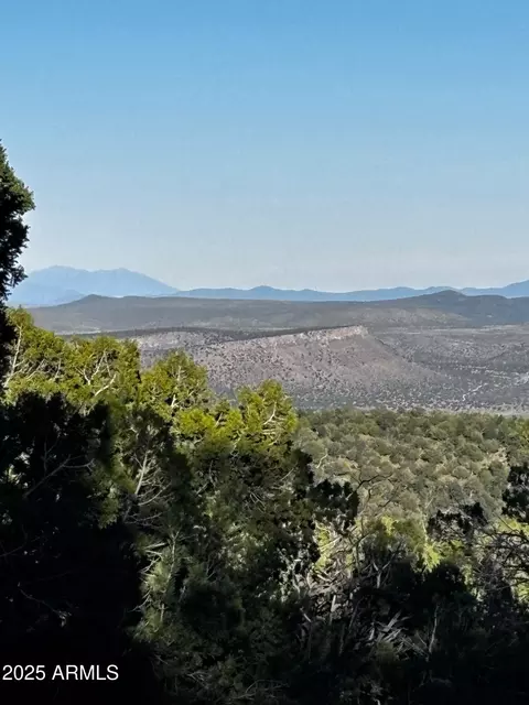 0 Soaring Hawk -- #498, Seligman, AZ 86337