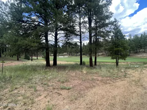 3646 S Woodland Hills Dr #377, Flagstaff, AZ 86005