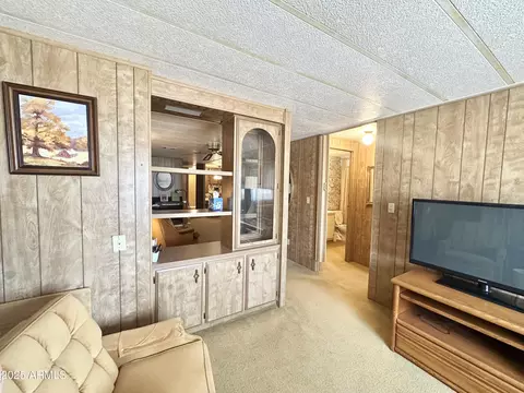 5521 E Aspen Ave, Mesa, AZ 85206 photo 43