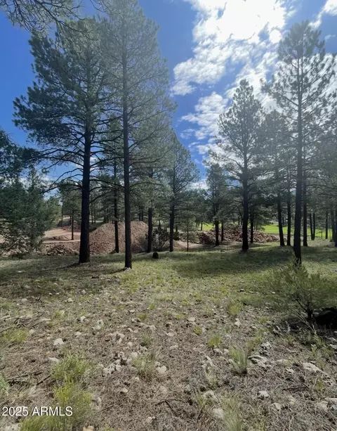 3666 S Woodland Hills Dr #379, Flagstaff, AZ 86005