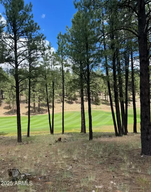 3607 S Woodland Hills Dr #372, Flagstaff, AZ 86005