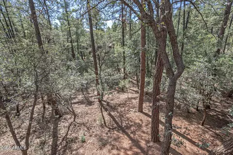 6803 W Ute Trl W, Pine, AZ 85544 photo 29