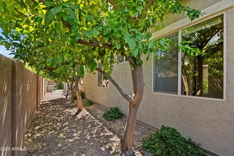 Exterior - 655 E Bellerive Pl, Chandler, AZ 85249 photo 6 of 6