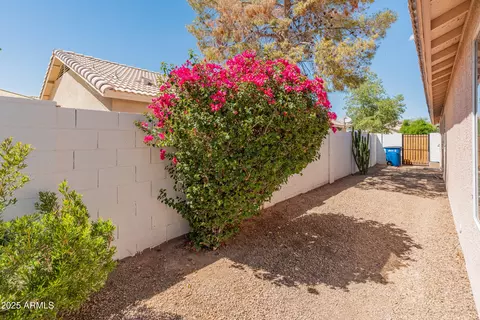 143 W Jasper Dr, Gilbert, AZ 85233 photo 41