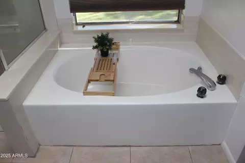 Bath - 4321 E Rosemonte Dr, Phoenix, AZ 85050 photo 1 of 7
