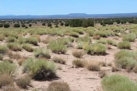n9343n9343 St -- #20465210, Johns, AZ 85936