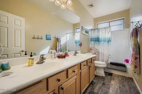 Bath - 4338 E Lantern Pl, Gilbert, AZ 85297 photo 3 of 4