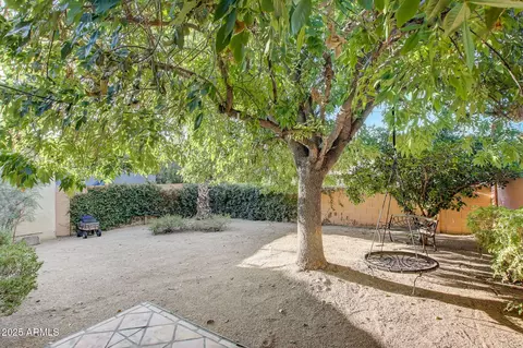Exterior - 2210 E Forge Ave, Mesa, AZ 85204 photo 7 of 10
