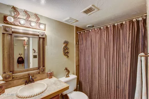 Bath - 2210 E Forge Ave, Mesa, AZ 85204 photo 1 of 3