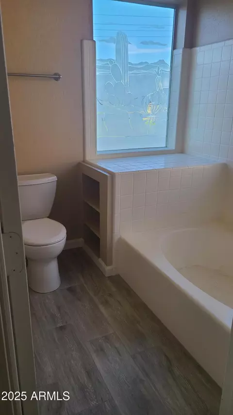 Bath - 1002 E Hearne Way, Gilbert, AZ 85234 photo 3 of 6