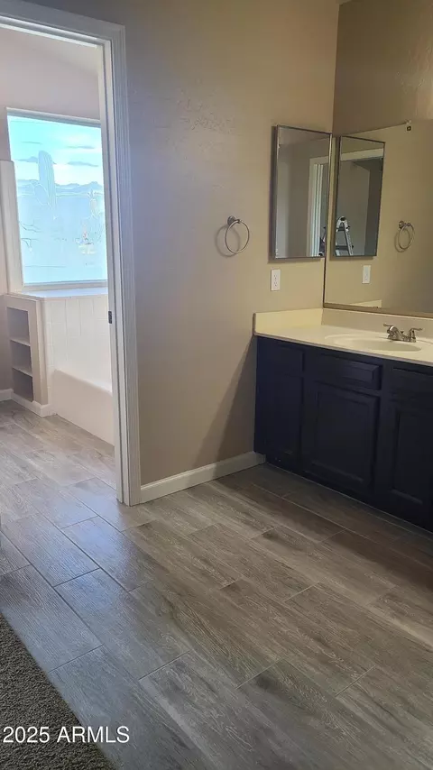 Bath - 1002 E Hearne Way, Gilbert, AZ 85234 photo 5 of 6