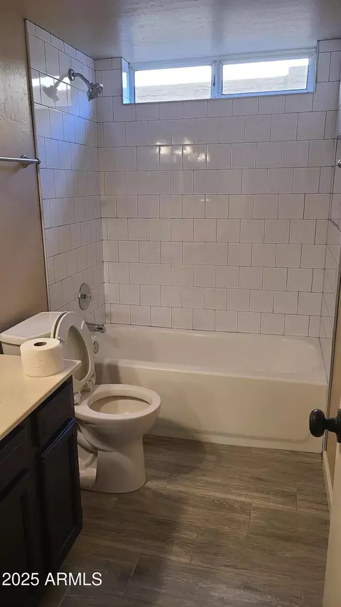 Bath - 1002 E Hearne Way, Gilbert, AZ 85234 photo 6 of 6
