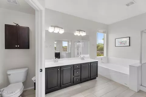 Bath - 1785 S Morrison Ln, Gilbert, AZ 85295 photo 4 of 6