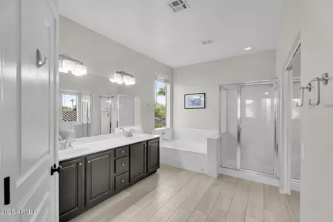 Bath - 1785 S Morrison Ln, Gilbert, AZ 85295 photo 1 of 6