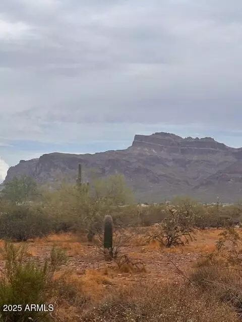 5042 E 32nd Ave, Apache Junction, AZ 85119 photo 2