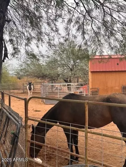 5042 E 32nd Ave, Apache Junction, AZ 85119 photo 8