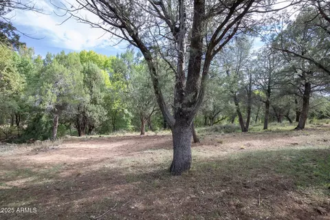 320 W Buckskin Rd, Payson, AZ 85541 photo 34
