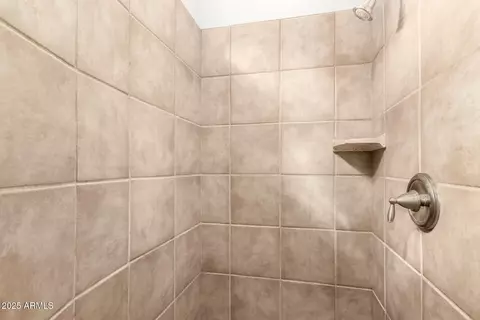 Bath - 5370 S Desert Dawn Dr #16, Gold Canyon, AZ 85118 photo 3 of 4