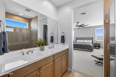 Bath - 10028 E Thunderbolt Ave, Mesa, AZ 85212 photo 5 of 7
