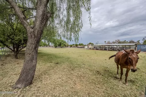 834 E Lockwood St, Mesa, AZ 85203 photo 53