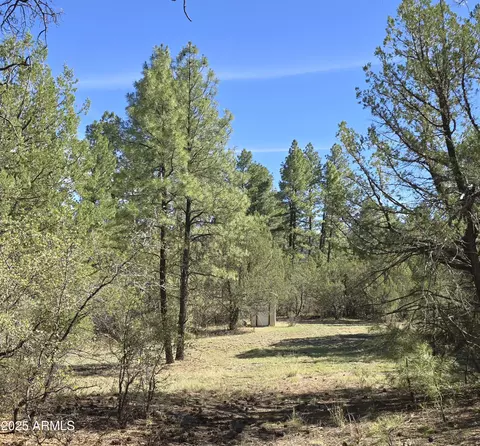7426 W Forest Service Rd 200 --, Young, AZ 85554 photo 30