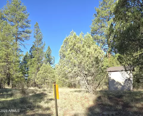 7426 W Forest Service Rd 200 --, Young, AZ 85554 photo 33