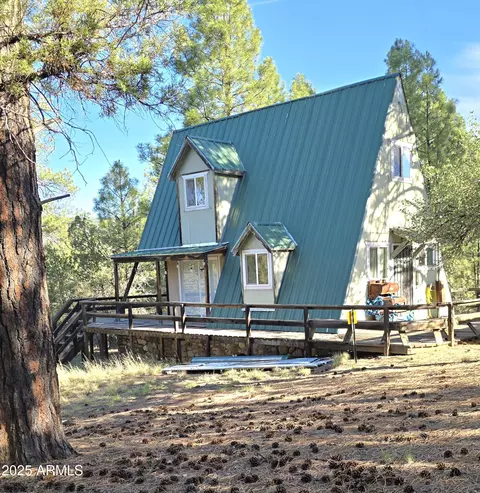 7426 W Forest Service Rd 200 --, Young, AZ 85554