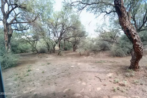 Other - 730 N River Rd, Saint David, AZ 85630 photo 9 of 9